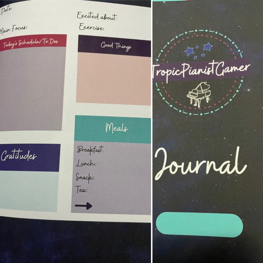 Book Cover: The TPG's Journal (paperback)