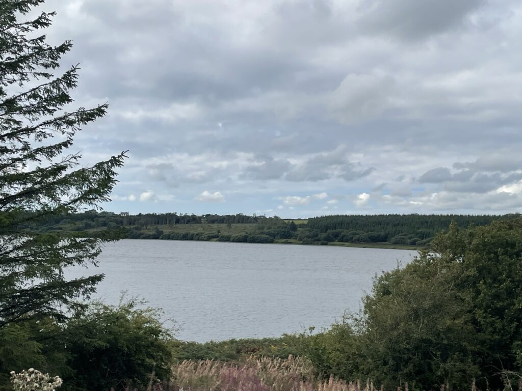New Term, New Chapter. 2 A view across llyn cefni, Llangefni on a cloudy day.