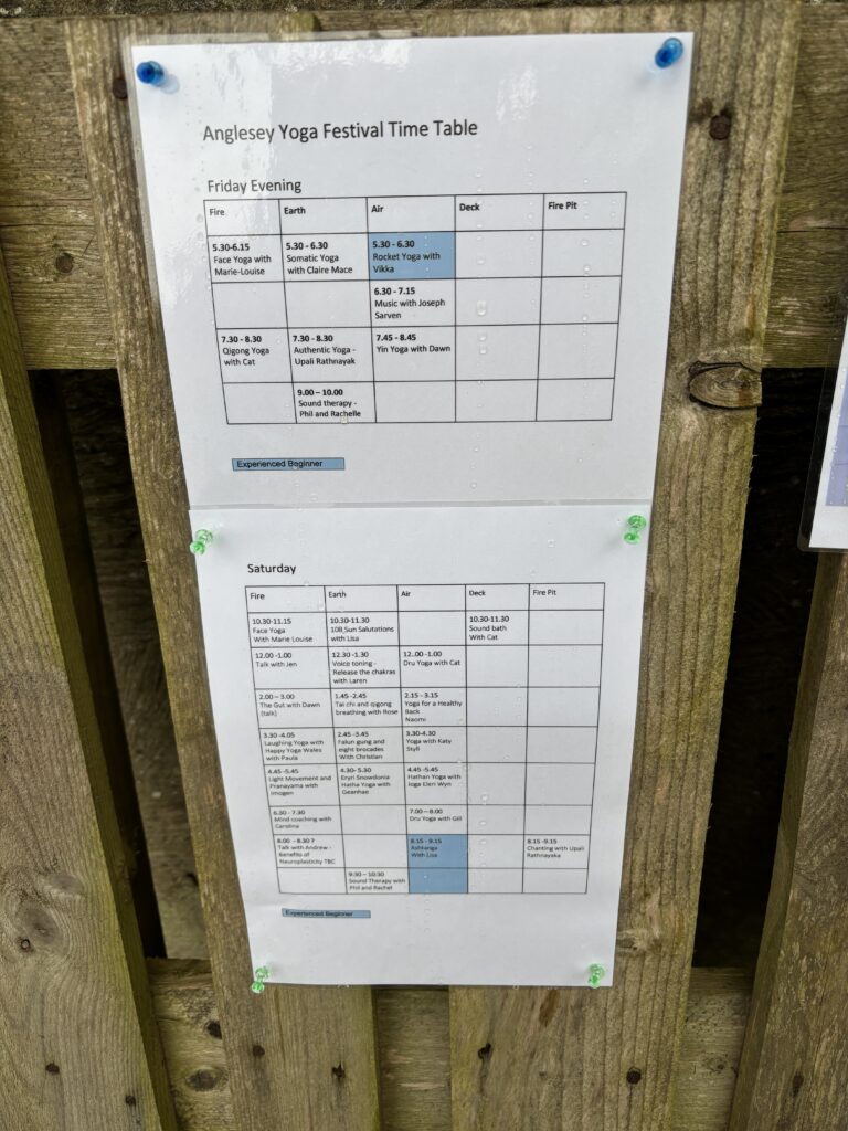 Speaker at a Brand New Yoga Festival- June 2024 - a Major 2024 Goal accomplished! 18 The timetable.