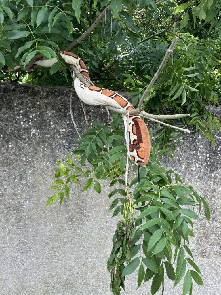 Speaker at a Brand New Yoga Festival- June 2024 - a Major 2024 Goal accomplished! 5 a random plush snake in the trees