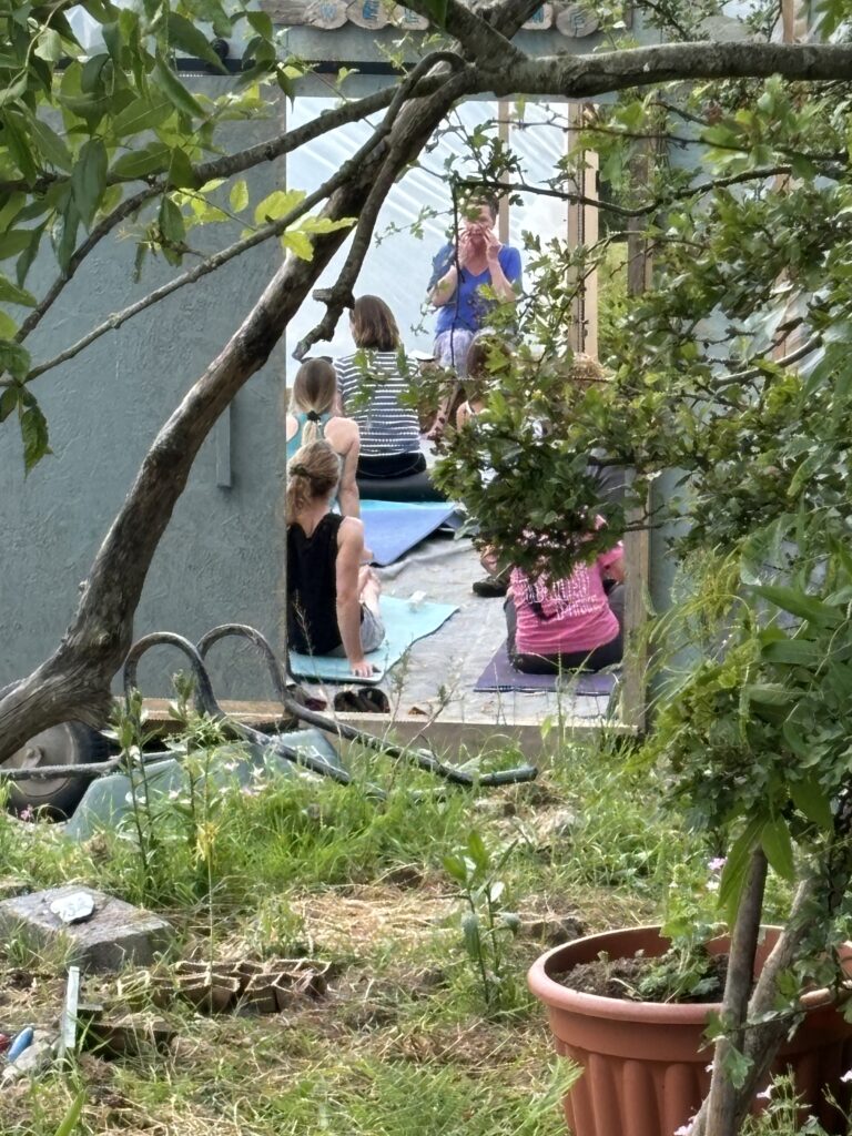Speaker at a Brand New Yoga Festival- June 2024 - a Major 2024 Goal accomplished! 3 a candid photo through the trees of the face yoga session