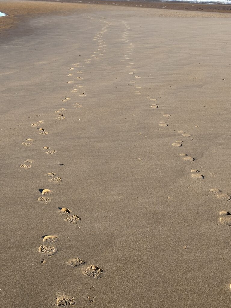 2025- New Year, New Chapter! 3 Footprints of me and my friend across an otherwise empty beach.