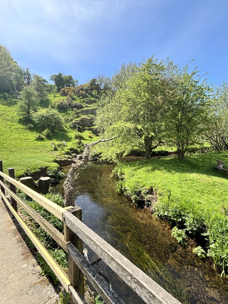Summer has Started here, Exciting plans ahead! 4 Walk in Llangefni. View down the stream from a foot bridge.