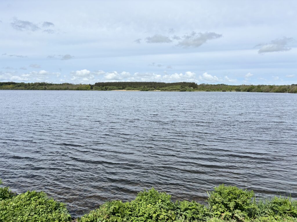 Summer has Started here, Exciting plans ahead! 5 view across Cefni lake.