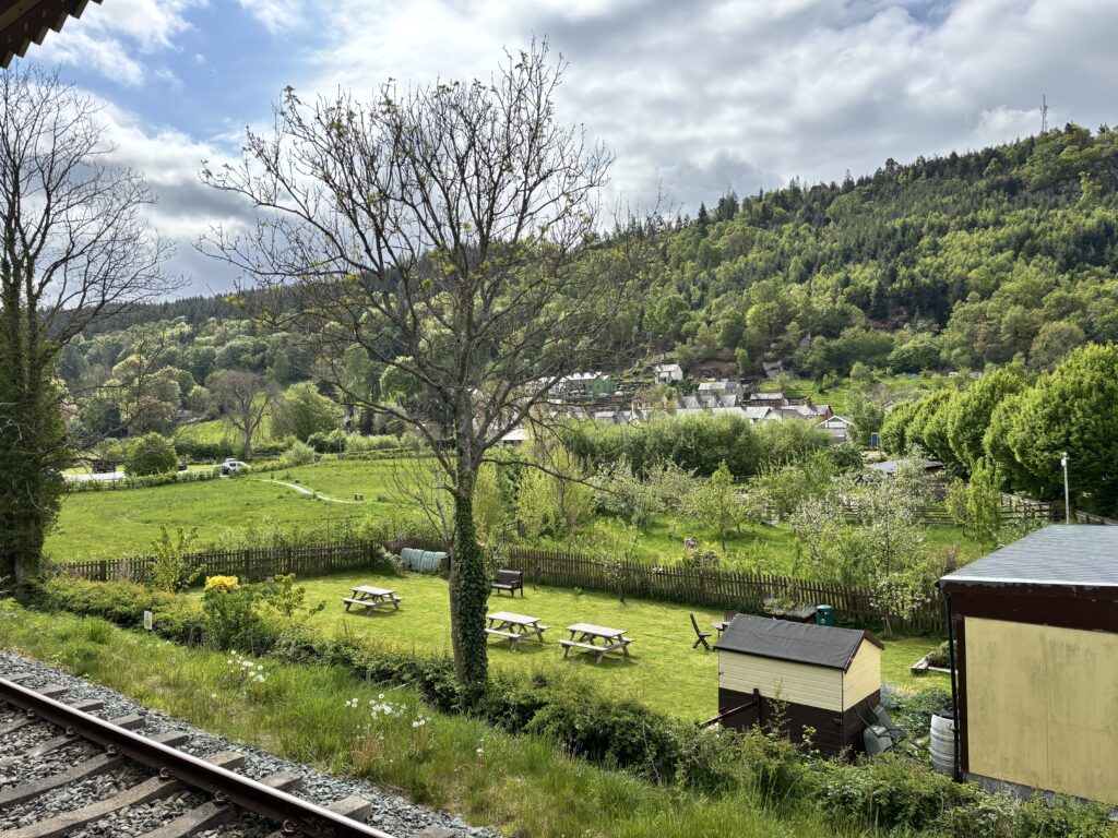 Summer has Started here, Exciting plans ahead! 6 view across the landscape from the train. Lots of green.