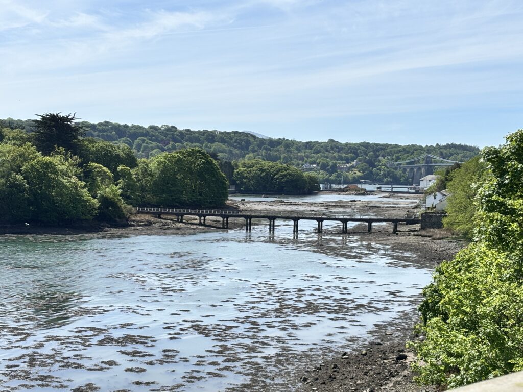 Summer has Started here, Exciting plans ahead! 9 From cadnant bridge at low tide.